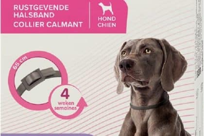 découvrez les meilleurs calmants naturels pour chien afin d'apaiser l'anxiété et le stress de votre compagnon à quatre pattes. explorez des solutions douces et efficaces pour garantir le bien-être de votre fidèle ami.