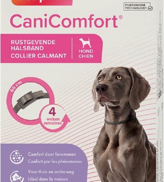 découvrez les meilleurs calmants naturels pour chien afin d'apaiser l'anxiété et le stress de votre compagnon à quatre pattes. explorez des solutions douces et efficaces pour garantir le bien-être de votre fidèle ami.