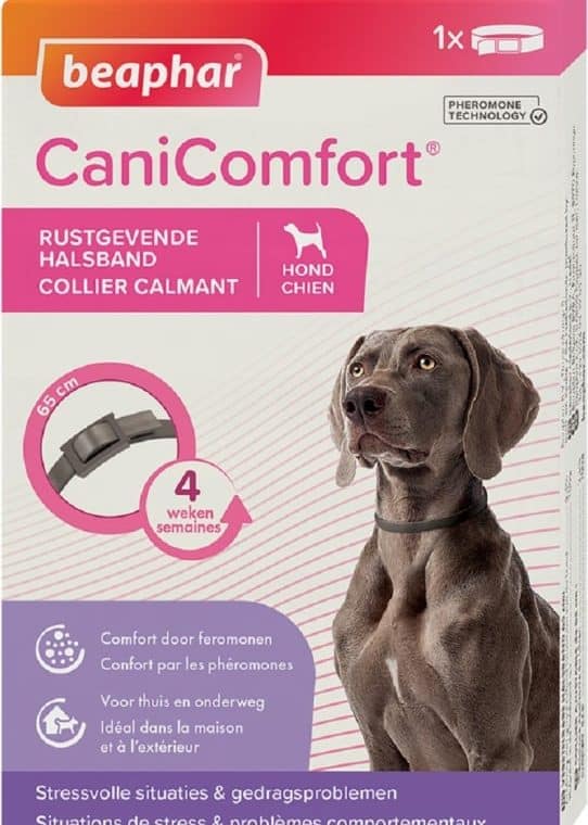 découvrez les meilleurs calmants naturels pour chien afin d'apaiser l'anxiété et le stress de votre compagnon à quatre pattes. explorez des solutions douces et efficaces pour garantir le bien-être de votre fidèle ami.