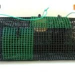 découvrez notre sélection de nasses à poisson, idéales pour capturer vos prises facilement et efficacement. fabriquées avec des matériaux durables, nos nasses garantissent une expérience de pêche réussie, que vous soyez débutant ou expert. parfaites pour les rivières, lacs et zones côtières.