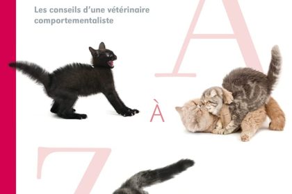 découvrez tout ce qu'il faut savoir sur le comportement des chats. apprenez à mieux comprendre les attitudes, les besoins et les habitudes de votre félin pour créer une relation harmonieuse et épanouie.