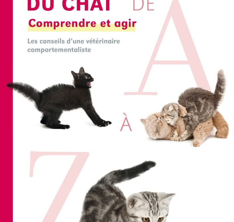 découvrez tout ce qu'il faut savoir sur le comportement des chats. apprenez à mieux comprendre les attitudes, les besoins et les habitudes de votre félin pour créer une relation harmonieuse et épanouie.