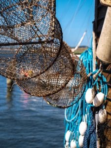 Comment fabriquer une nasse à poisson : guide étape par étape